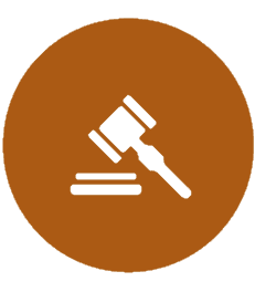Conservatorships