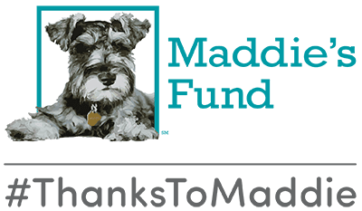 Maddies