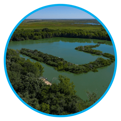 History of  High Island